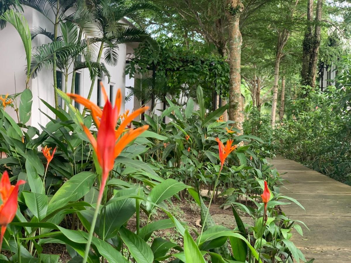 Greenspace Resort Phuquoc フーコック エクステリア 写真