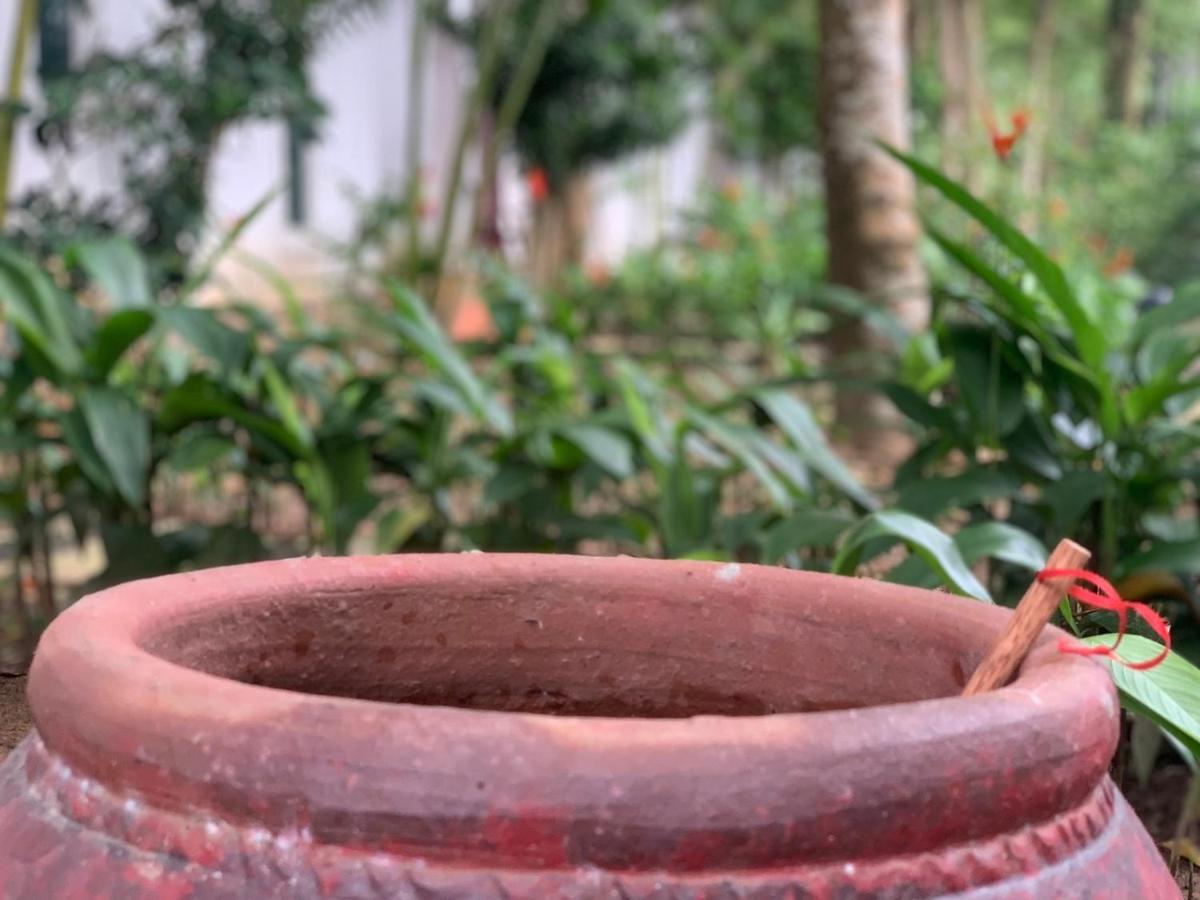 Greenspace Resort Phuquoc フーコック エクステリア 写真