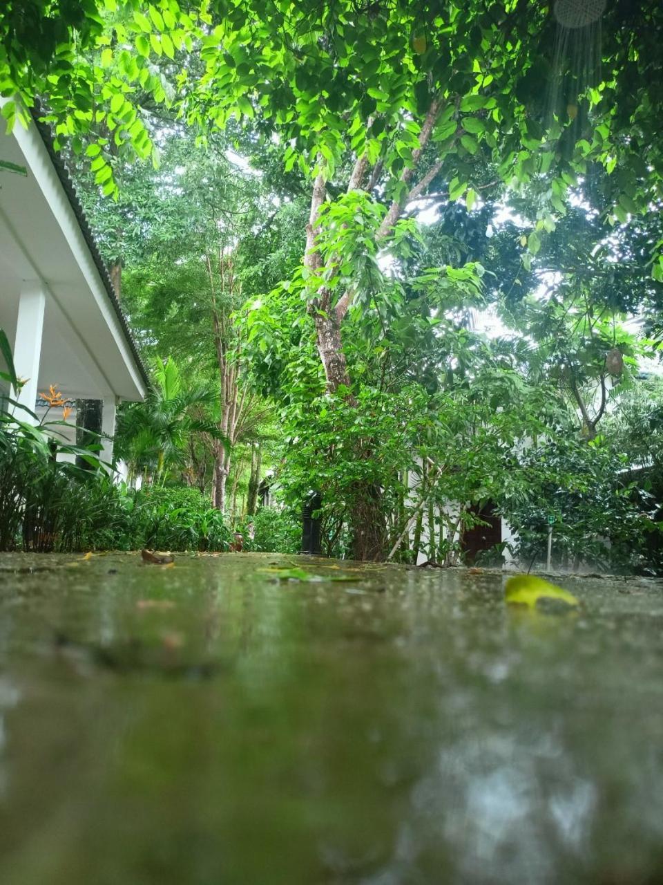 Greenspace Resort Phuquoc フーコック エクステリア 写真